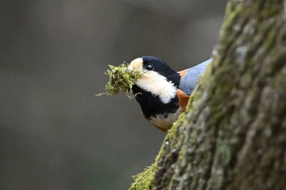 ���}�K��